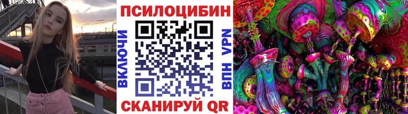 Галлюциногенные грибы Cubensis  KRAKEN ONION  Среднеуральск 