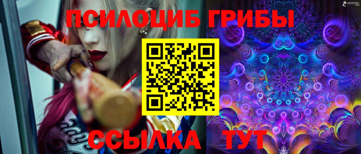 Галлюциногенные грибы Psilocybine cubensis  Вход с VPN  Среднеуральск  даркнет сайт  Галлюциногенные грибы прущие грибы 